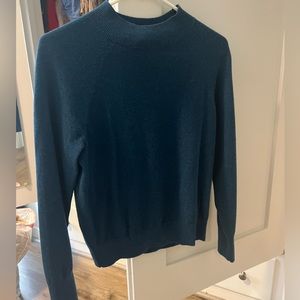 Everlane Cashmere Mockneck Sweater in Blue